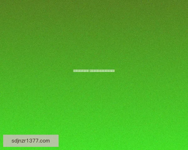 热血无赖黑屏困境揭秘 游戏设计背后的技术与艺术碰撞解析